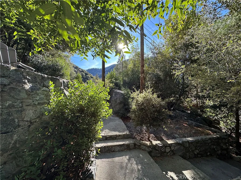 49 Ice House Canyon Road, Mt Baldy, California 91759 home-pic-8